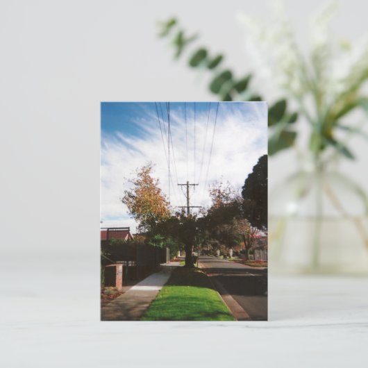 boom briefkaart (Staand voorkant)