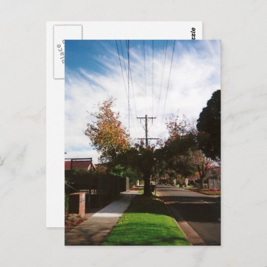 boom briefkaart (Voorkant / Achterkant)