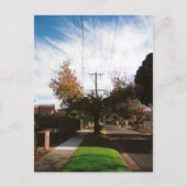 boom briefkaart (Voorkant)