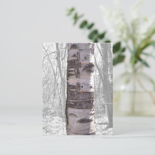 Boom Briefkaart (Staand voorkant)