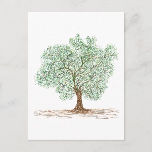 boom briefkaart (Voorkant)