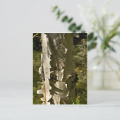 Boom Briefkaart (Staand voorkant)