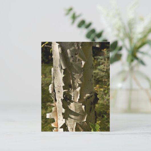 Boom Briefkaart (Staand voorkant)