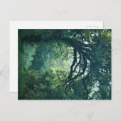 Boom Briefkaart (Voorkant / Achterkant)