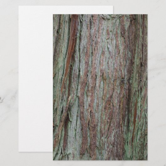 Boom Briefpapier (Voorkant / Achterkant)