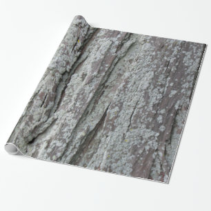Boom Cadeaupapier