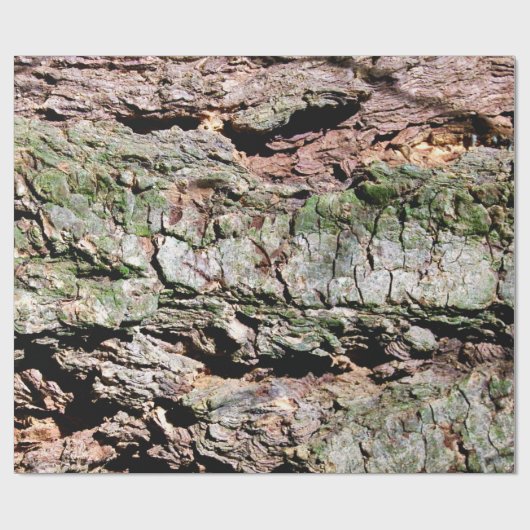 Boom Cadeaupapier (Vlak)