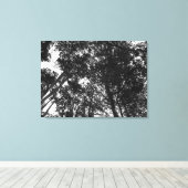 Boom Canopy, Bute Park, Cardiff Canvas Afdruk (Insitu (Houten vloer))