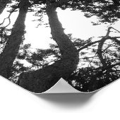 Boom Canopy, Bute Park, Cardiff Poster (Hoek)