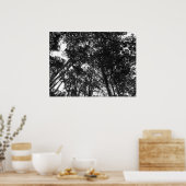 Boom Canopy, Bute Park, Cardiff Poster (Keuken)