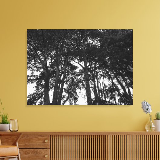 Boom Canopy II, Bute Park, Cardiff Canvas Afdruk (Insitu (Woonkamer))