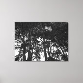 Boom Canopy II, Bute Park, Cardiff Canvas Afdruk (Voorkant)