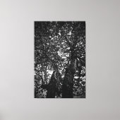 Boom Canvas Afdruk (Voorkant)