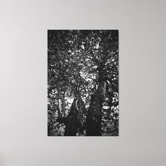 Boom Canvas Afdruk (Voorkant)