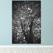 Boom Canvas Afdruk (Insitu (Houten vloer))