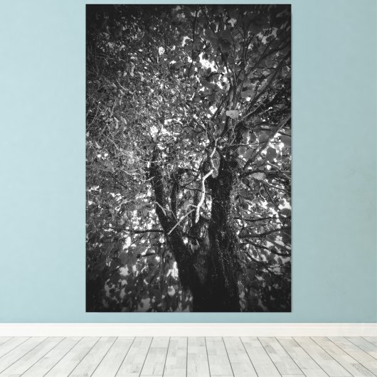 Boom Canvas Afdruk (Insitu (Houten vloer))