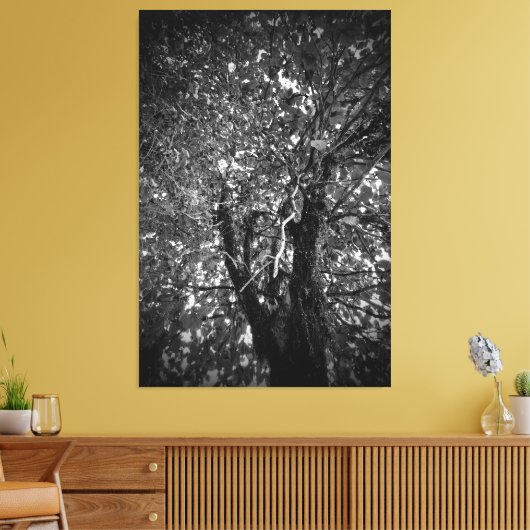 Boom Canvas Afdruk (Insitu (Woonkamer))