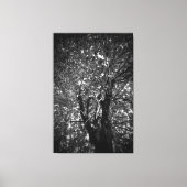 Boom Canvas Afdruk (Voorkant)