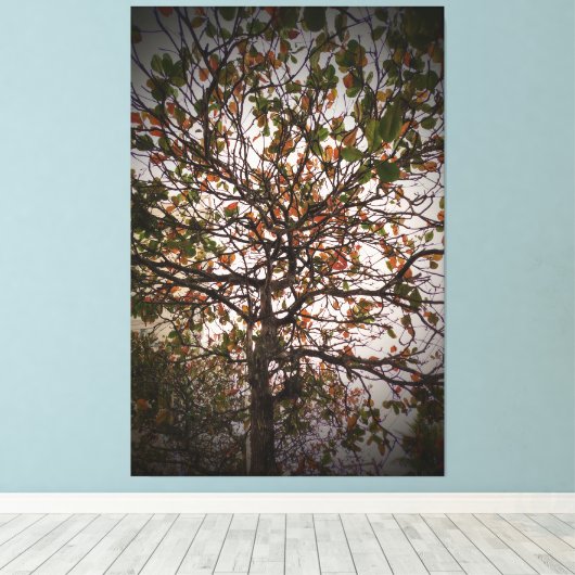 Boom Canvas Afdruk (Insitu (Houten vloer))