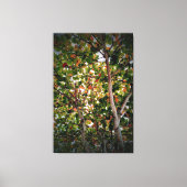 Boom Canvas Afdruk (Voorkant)