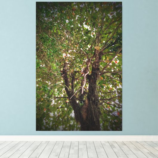 Boom Canvas Afdruk (Insitu (Houten vloer))