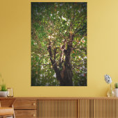 Boom Canvas Afdruk (Insitu (Woonkamer))