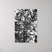 Boom Canvas Afdruk (Voorkant)