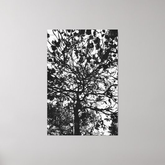 Boom Canvas Afdruk (Voorkant)