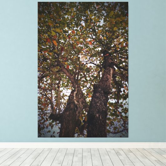 Boom Canvas Afdruk (Insitu (Houten vloer))