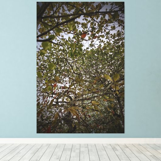 Boom Canvas Afdruk (Insitu (Houten vloer))