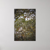 Boom Canvas Afdruk (Voorkant)