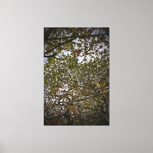 Boom Canvas Afdruk (Voorkant)