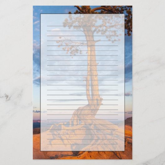 Boom Clings to Ledge, Bryce Canyon National Park Briefpapier (Voorkant)