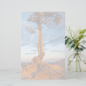 Boom Clings to Ledge, Bryce Canyon National Park Briefpapier (Staand voorkant)