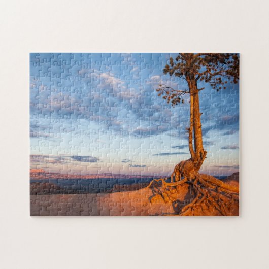 Boom Clings to Ledge, Bryce Canyon National Park Legpuzzel (Horizontaal)