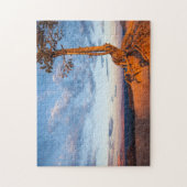 Boom Clings to Ledge, Bryce Canyon National Park Legpuzzel (Verticaal)