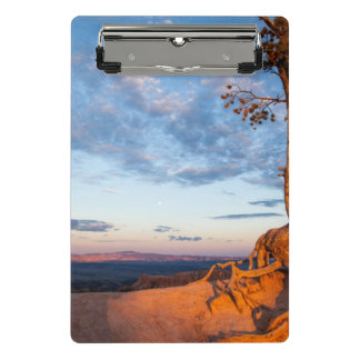 Boom Clings to Ledge, Bryce Canyon National Park Mini Klembord