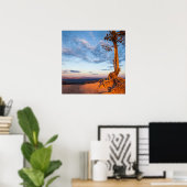 Boom Clings to Ledge, Bryce Canyon National Park Poster (Thuiskantoor)