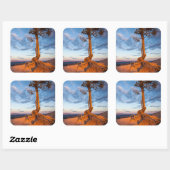 Boom Clings to Ledge, Bryce Canyon National Park Vierkante Sticker (Vel)