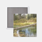 Boom Creek Photo Magnet (Voorkant / Achterkant)