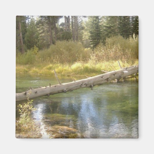 Boom Creek Photo Magnet (Voorkant)