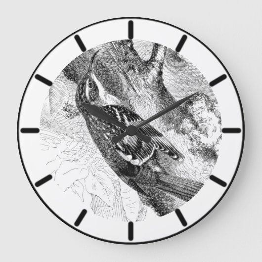 Boom Creeper British Bird Large Clock Grote Klok (Voorkant)