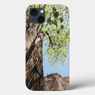 Boom die groeit tussen rotsen in Zion National Par Case-Mate iPhone Case