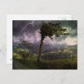 Boom die in de wind blaast tijdens een Donderd Sto Briefkaart (Voorkant / Achterkant)