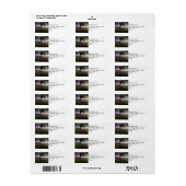 Boom die in de wind blaast tijdens een Donderd Sto Etiket (Full Sheet)