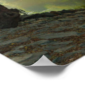 Boom die nabij water groeit, psalm 1:3, schitterin poster (Hoek)