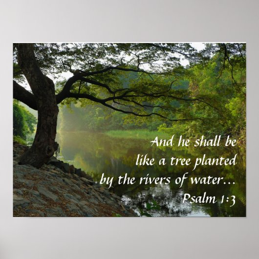 Boom die nabij water groeit, psalm 1:3, schitterin poster (Voorkant)