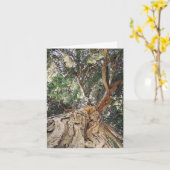 Boom, Duitse Verjaardag Kaart (Gele Bloem)