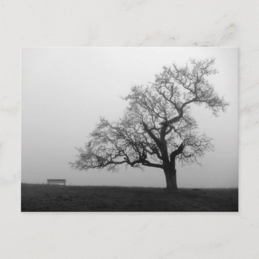 Boom en bank in mist briefkaart (Voorkant)