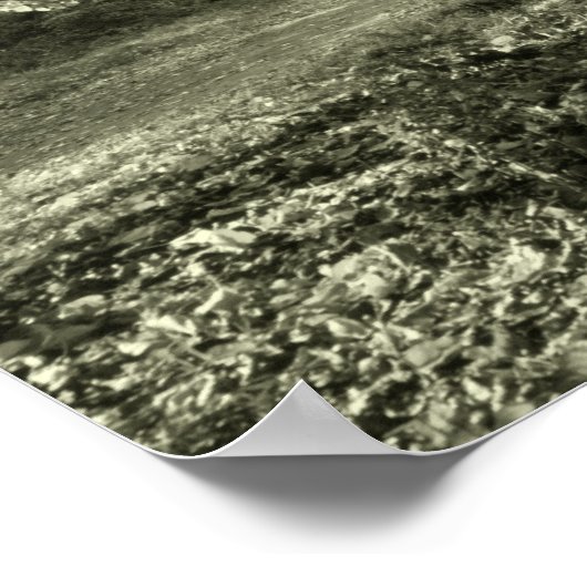 Boom en brug in het centrale park poster (Hoek)